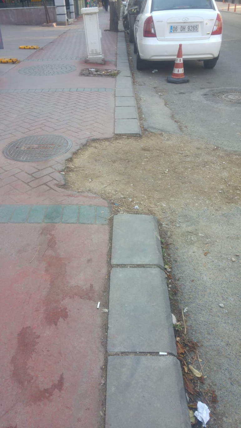 Köpeklerinin dışkılarını sokakta bırakanlar...