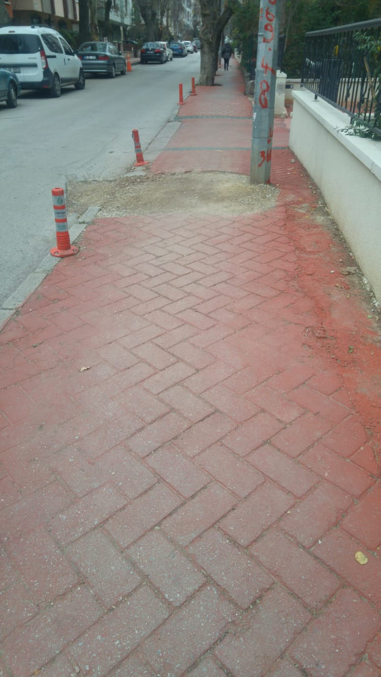 Köpeklerinin dışkılarını sokakta bırakanlar...