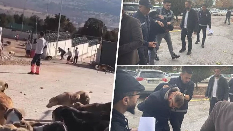 Köpek katillerinin ardından bir tahliye daha Boğayı balyozla öldürmüştü