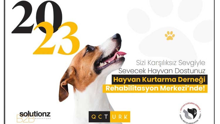 En güzel 2023 takvimi barınak güzelleri