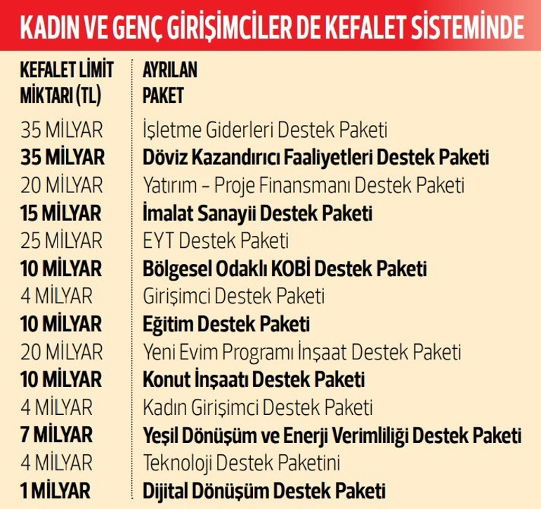 14 paket için 250 milyar TL kredi
