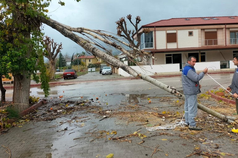 Antalyayı fırtına, kar ve sağanak vurdu Yolları kar kapattı, ağaçlar devrildi