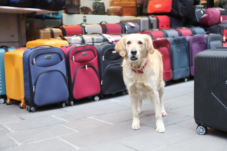 Ulus’tan Türkiye ve dünyaya açılan sokak: Çantacılar