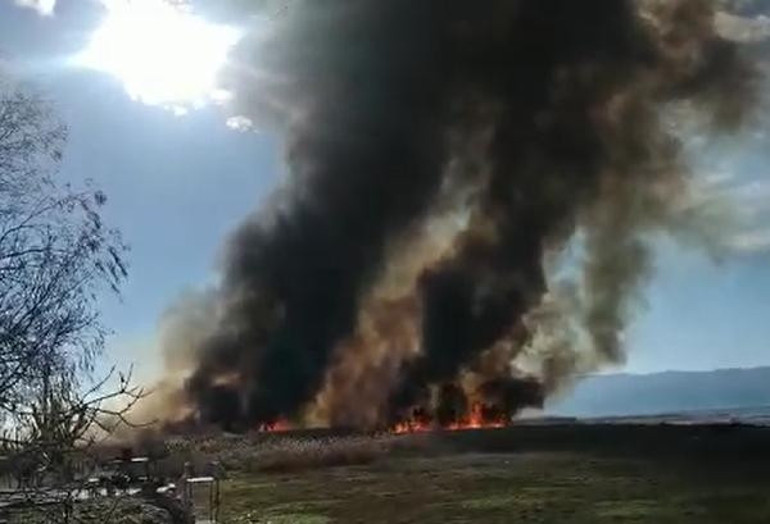 İznik Gölü kıyısında sazlık yangını: 10 dönüm alan zarar gördü