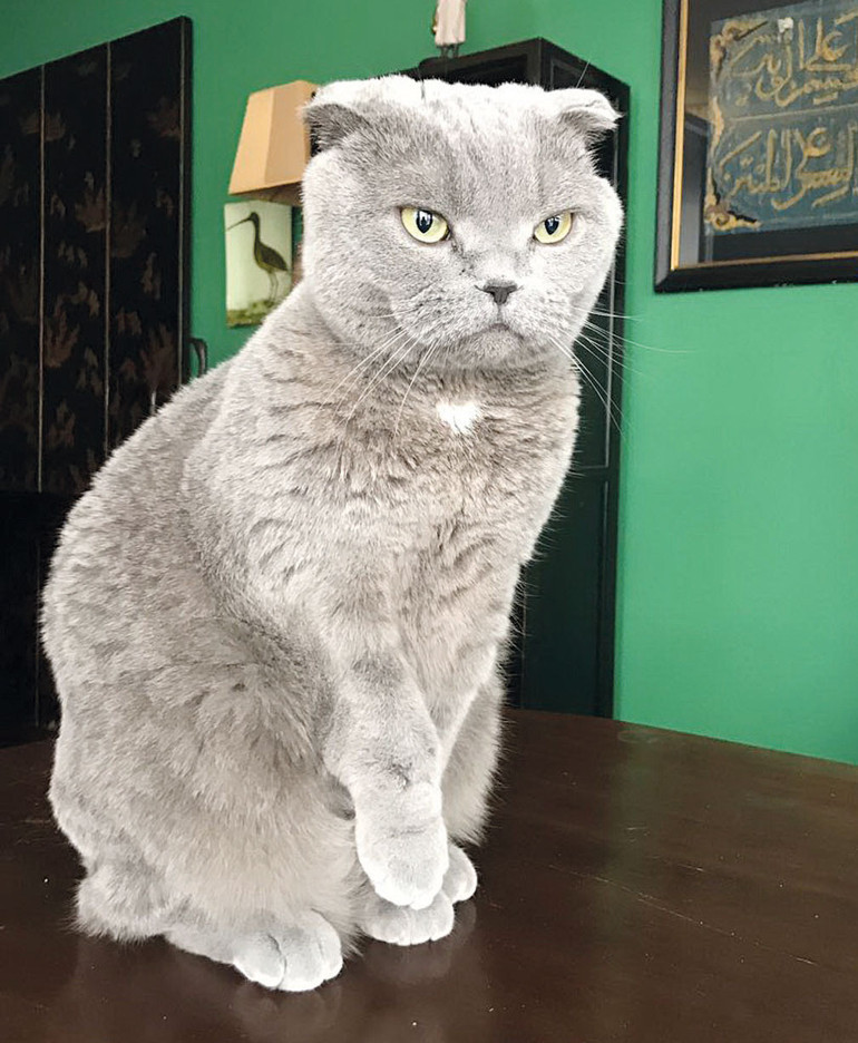 Sokağın sorularına verdiğim cevaplar