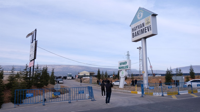 Konyada köpeğin kürekle öldürülmesinde sanıklara verilen cezayı az bulan savcılıktan itiraz