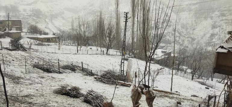 Son dakika... Meteoroloji uyarmıştı, kar yağışı etkili oluyor Türkiye beyaza büründü: İşte kar manzaraları