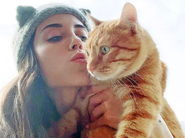 Kedili evde mum değil abajur bile yakılmaz