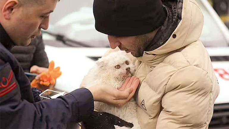 Kurtuluşun fotoğrafı