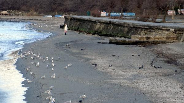 Avcılarda ve Tekirdağda deniz çekildi Kandilliden açıklama: Meteorolojik bir olay