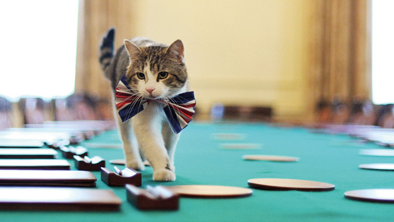 Şimdi de ruh sağlığımızı koruyacaklar