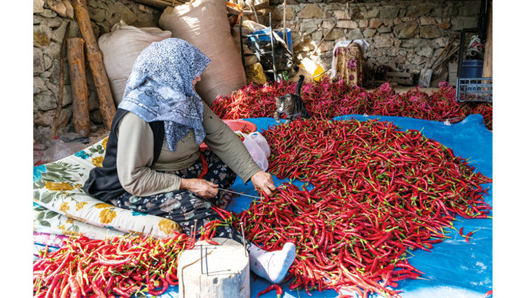 İyileşmek için üretiyorlar