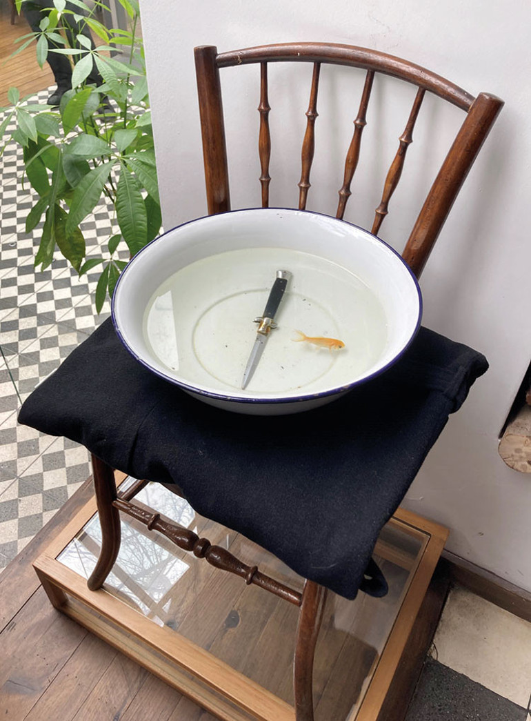 Kadın şefler  kadın depremzedeler için pişirdi