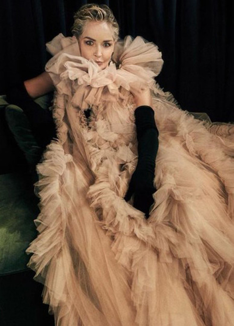 Sharone Stonedan Oscar itirafı: Modacılar bana elbise vermedi... Törene kendi aldığım o berbat giysiyle katılmak zorunda kaldım