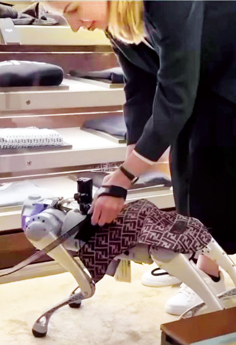 Oscar’dan geriye kalanlar