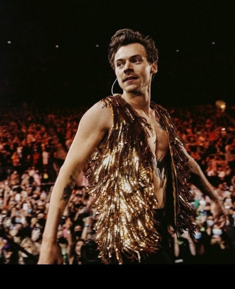 Emily Ratajkowski Harry Stylesla öpüşürken yakalanmıştı: İnternet 8 ay önceki konser fotoğraflarıyla sarsıldı