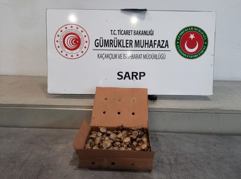 Sarp Sınır Kapısında 250 istilacı su kaplumbağası ele geçirildi