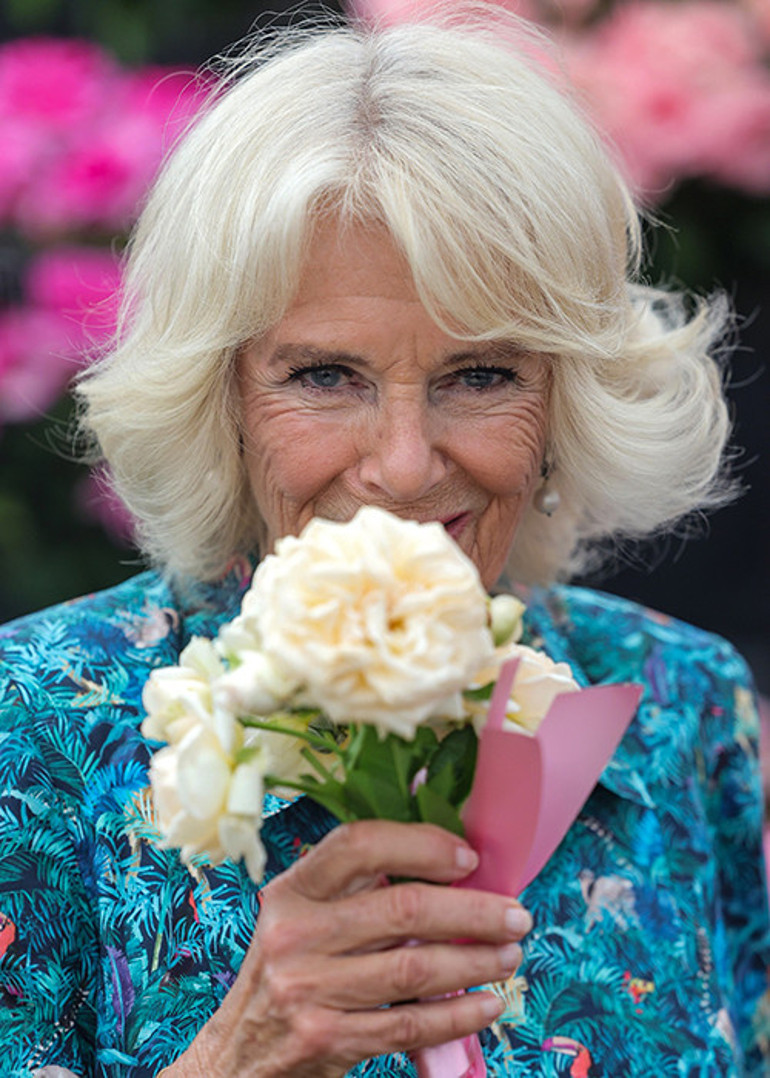 Ona bir gün bile böyle bakmadı Camillanın şövalyesi