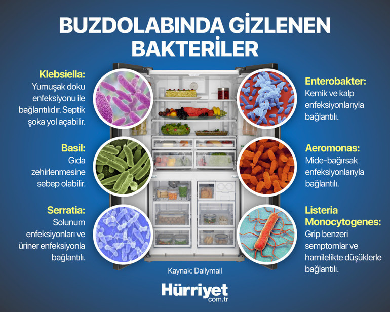 Dikkat, buzdolabınız sizi hasta edebilir | Yeni araştırma korkuttu: Tam 1,8 milyon bakteri barındırıyor
