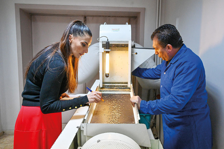 Tohumlara yüksek güvenlik... Gen Bankası’na parmak iziyle giriliyor