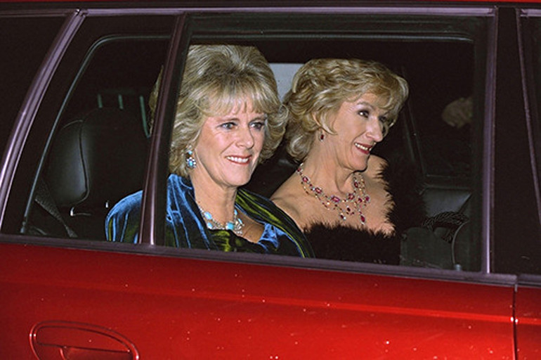 Harrynin çocukları yok, Camillanın torunları bile orada: İstenmediği sarayın hanımı oldu