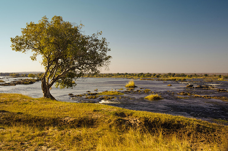 Her şey üç buçuk dakika içinde oldu... Hareket etmeye çalıştım ama olmadı; o an anladım ki belimden yukarısı bir su aygırının boğazındaydı