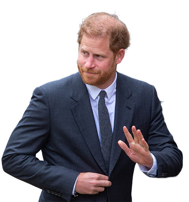 Camillanın eski kocası baş köşede: Harrye üvey evlat muamelesi