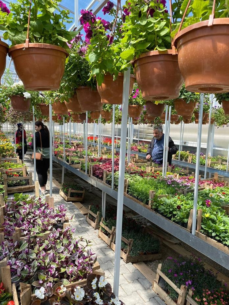 Tohumdan filizlenen başarı