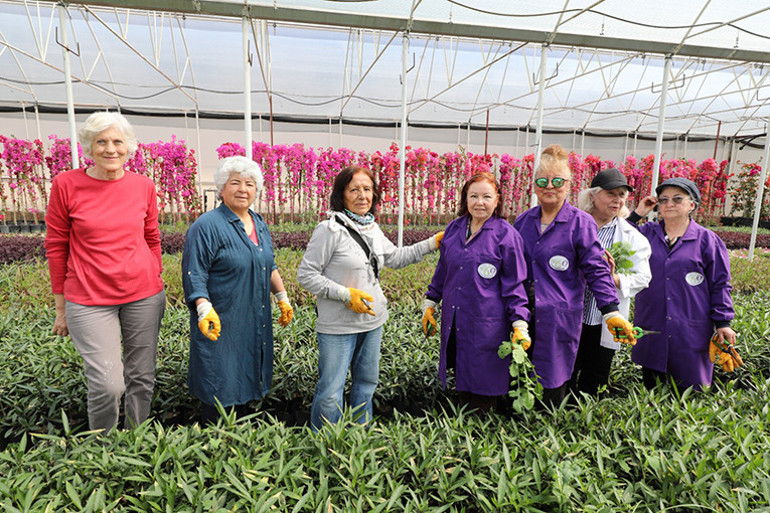 60 yaş üstü stajyerler iş başında