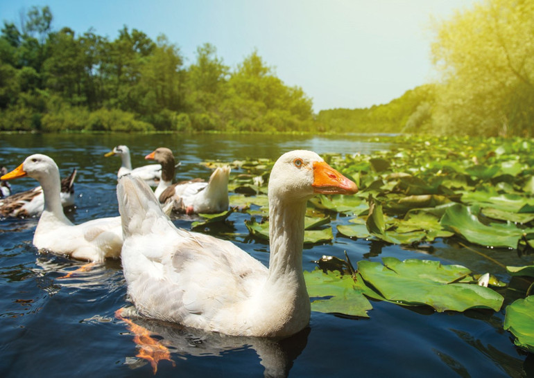 Anneler Günü’ne en güzel hediye: Birlikte, huzurlu bir yolculuk