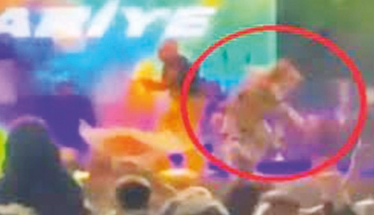 And the Oscar goes to... Mali müşavir