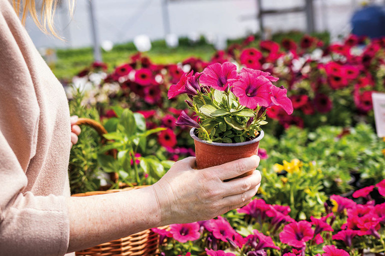 Anneler Günü’nün yıldızı Airfryer