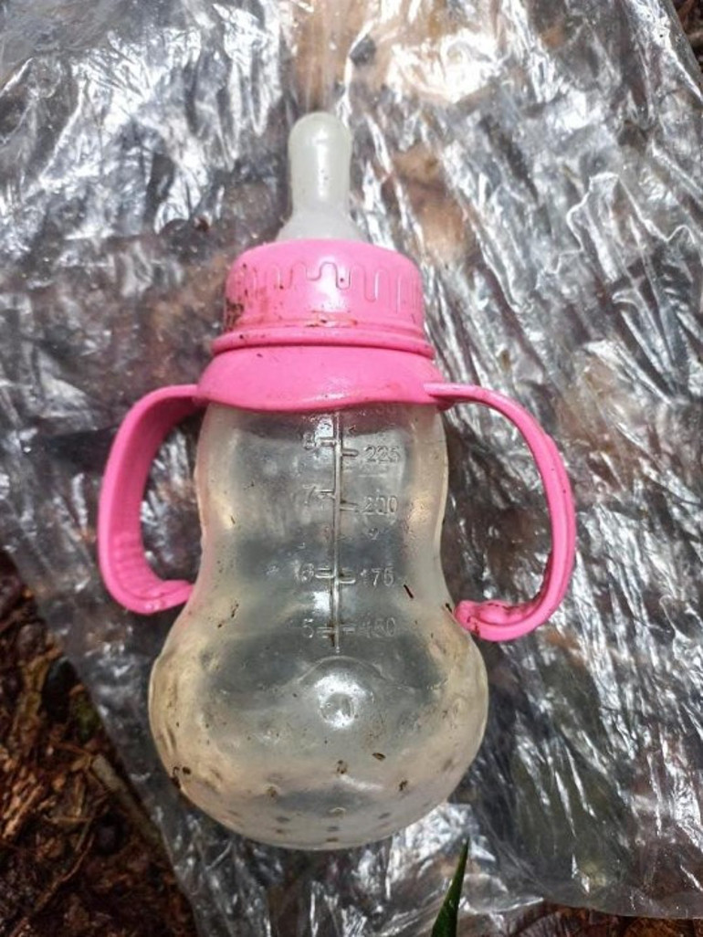 Gerçek bir mucize: Uçakları düşen 4 çocuk, 2 hafta sonra ormanlık alanda sağ bulundu