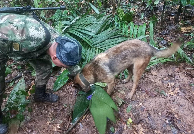 Gerçek bir mucize: Uçakları düşen 4 çocuk, 2 hafta sonra ormanlık alanda sağ bulundu