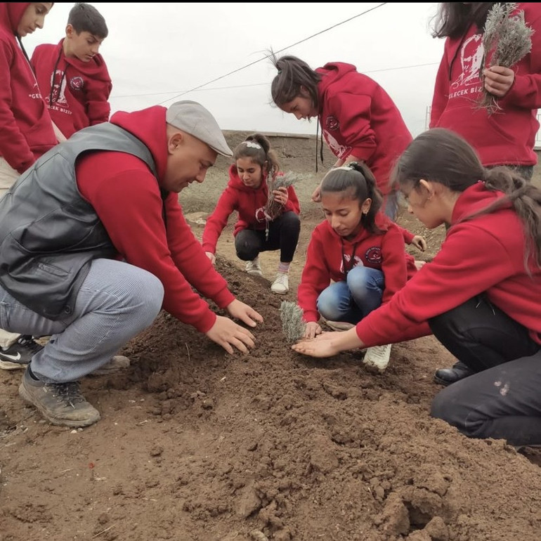 Lavanta başarıyı artırdı