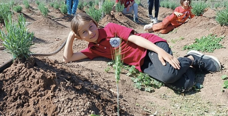 Lavanta başarıyı artırdı