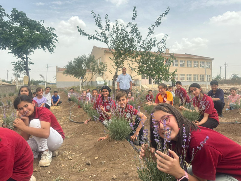 Lavanta başarıyı artırdı