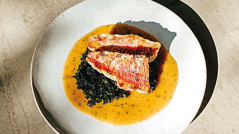 Gastronomi kazanında kaynayanlar