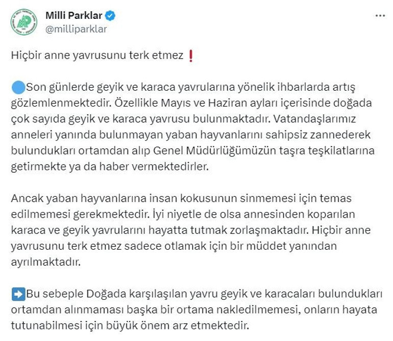DKMPden geyik ve karaca yavruları için uyarı