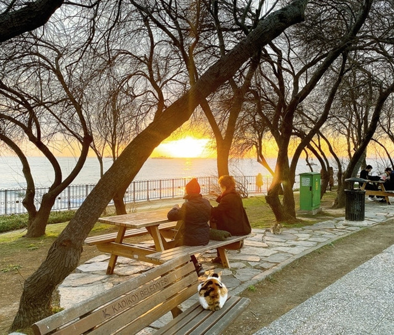 Doğanın tam ortasında... En iyi 10 piknik alanı