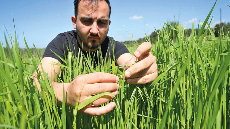 Genç girişimciye ata tohumu için tebrik