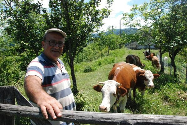 Bartında 4 köy ve beldede şap karantinası