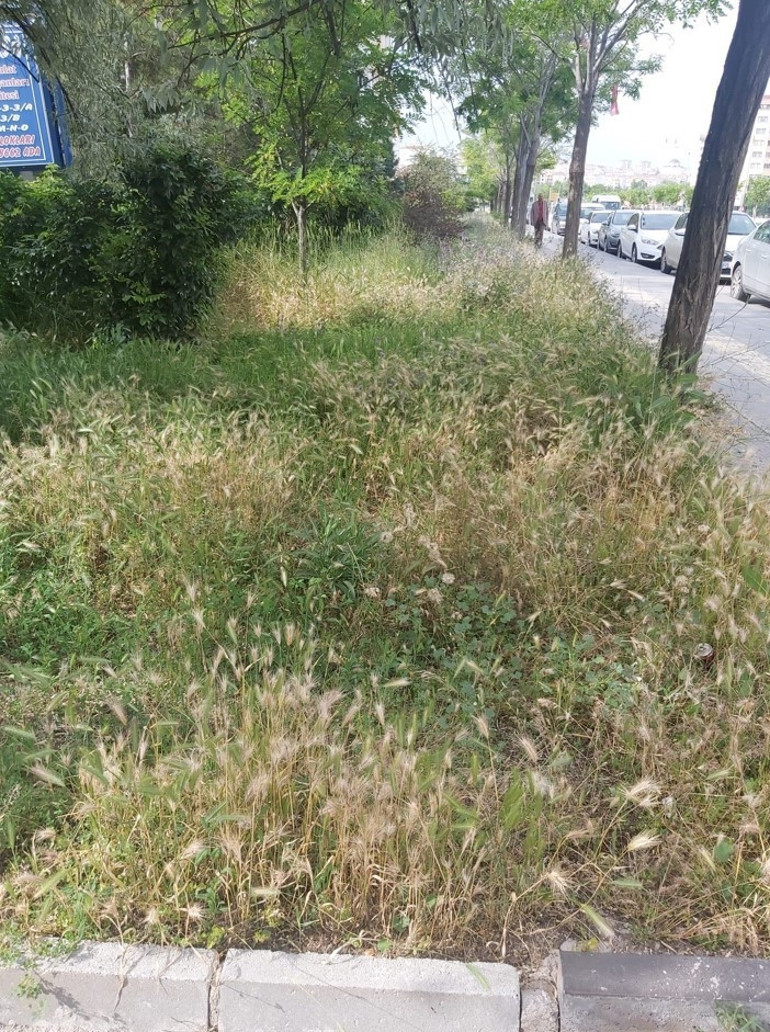 Bu şehir insana tuzak kuruyor