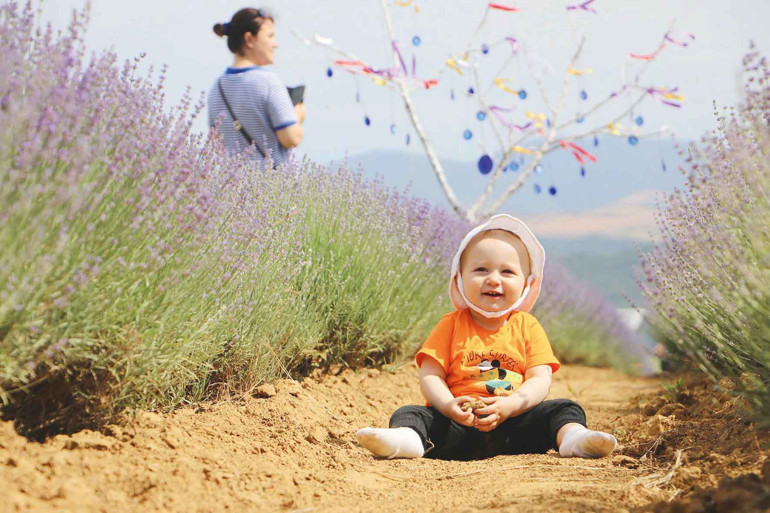Mor salkımlı poz... Lavanta bahçeleri ziyarete açıldı