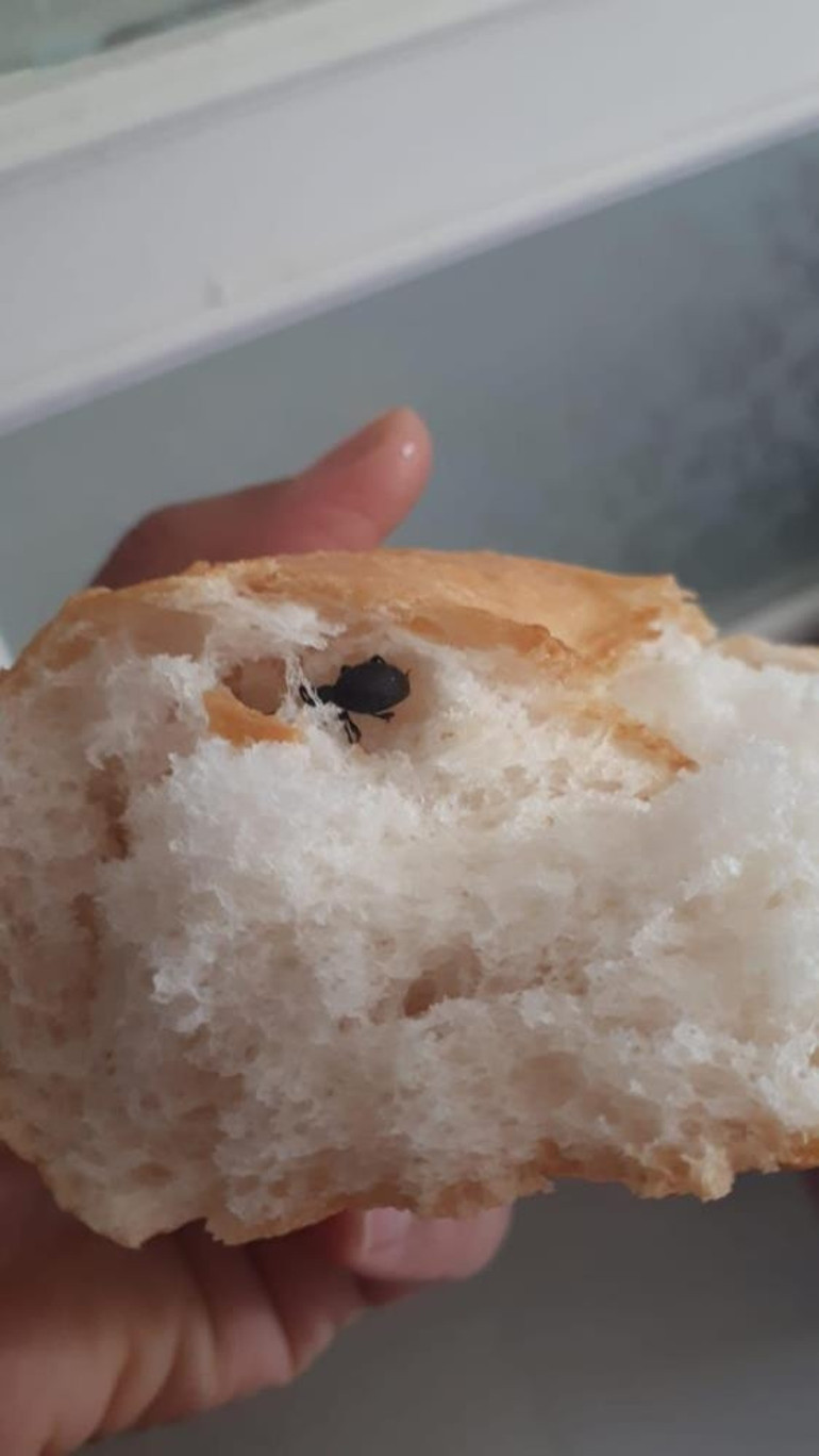 Ekmeğin içinden böcek çıktı