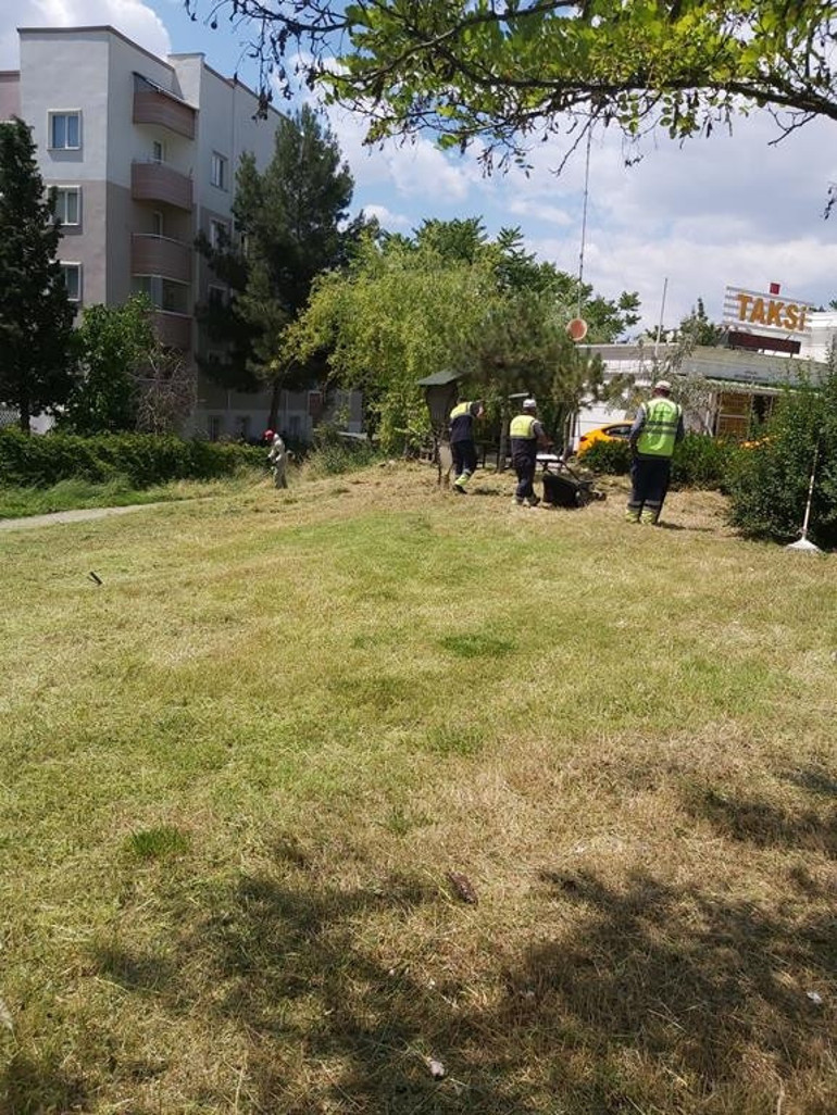 Kendi kalemize gol atmak