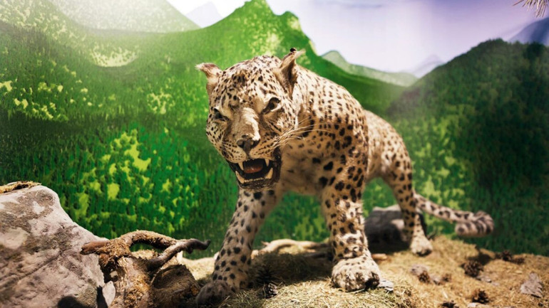 Ankara’nın son parsı