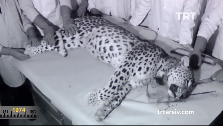 Ankara’nın son parsı