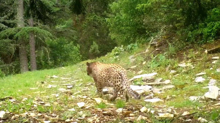 Ankara’nın son parsı