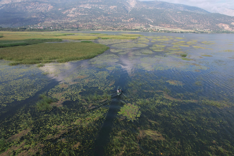 Nilüferleri ile ünlü Işıklı Gölünde, bayramda ziyaretçi yoğunluğu